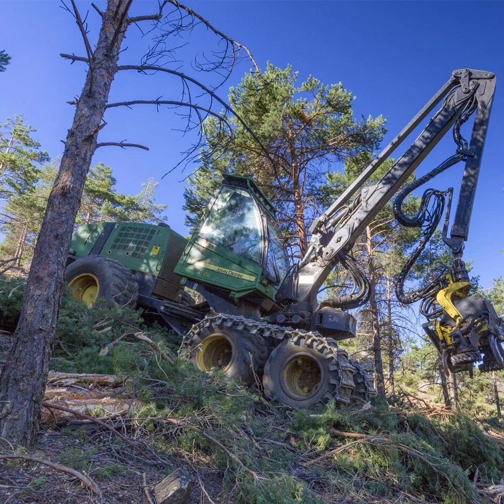 Expertos sector forestal